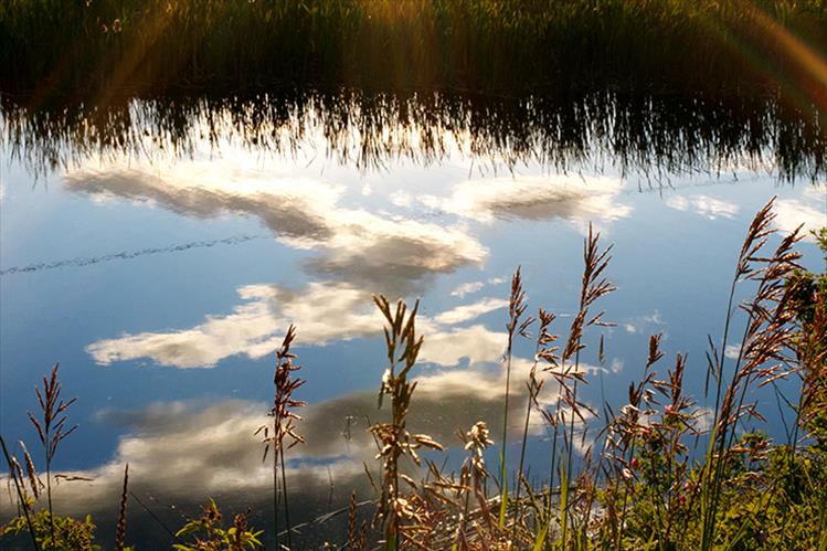 Reflection