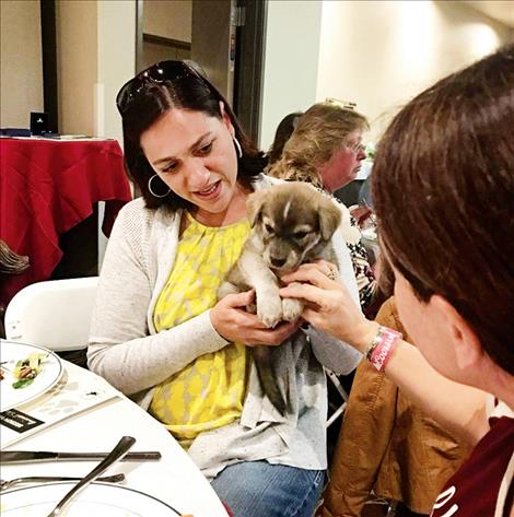 Fluffy puppy "Cash" gets some love at the Puppy Party.