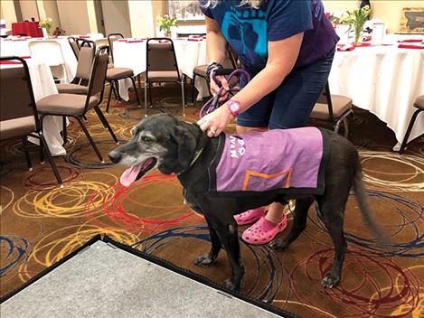 A dog wearing a special shawl with pockets for donations visits with event attendees. 