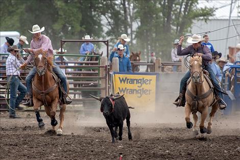 Team ropers Zane Walchuk and Kane McAllister start to make their catch during the team roping event.