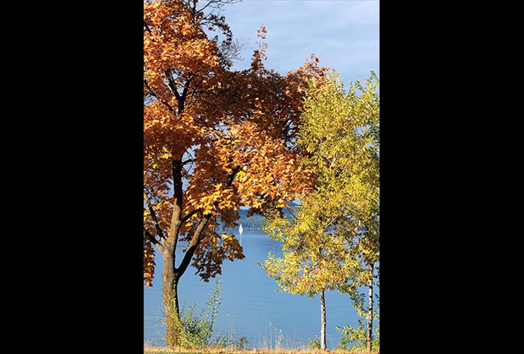 A sailboat on Polson Bay is framed by the fall foliage of trees along Hwy. 93.