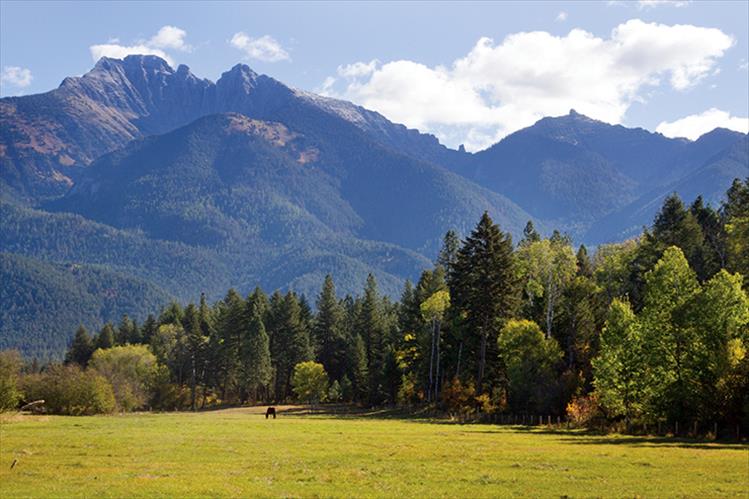 With the Mission Mountains as backdrop, fall landscapes in the Mission Valley provide majestic scenery.