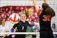 Lady Vikings, Lady Pirates enter volleyball divisional postseason