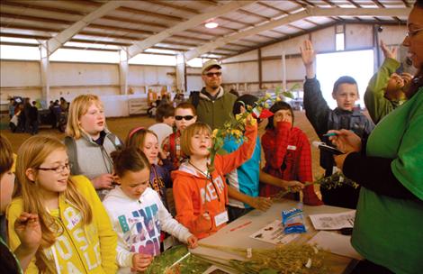 Mr. Brookman’s fourth graders gather around the noxious weed table to learn about the insidious plants.