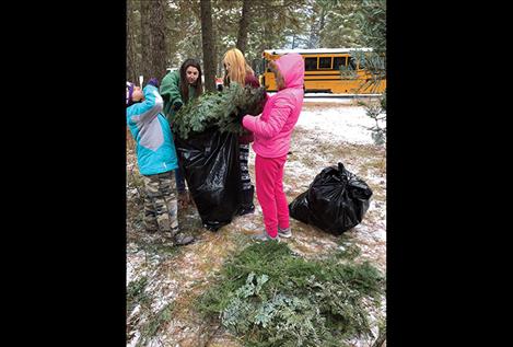 Students gather greens to create beautiful fundraising wreaths.