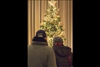 Festival of Trees benefits valley youth