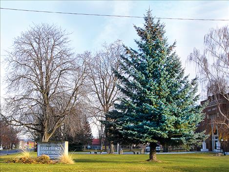 The tree in front of the Lake County Courthouse is the new community Christmas tree.