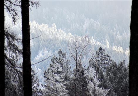  The amount of snow in the Mission Mountains is below average this year due to El Niño conditions.