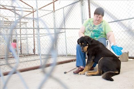 Angus, an 18-month-old shelter dog, is affectionately groomed by SKC’s Director of Nursing, Katie Willock. Willock’s love of animals led her to choose volunteer work at the animal shelter.