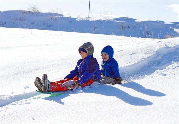 Snow accumulation and sunshine pair-up to create a fun afternoon of sledding for brothers Finn and Rowan Goddard.