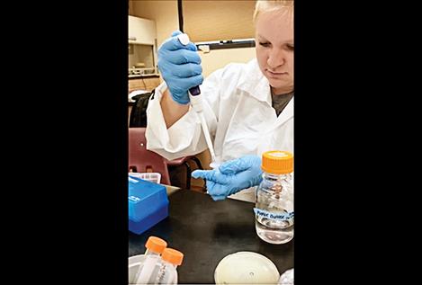 STEM students at SKC  conduct college-level  science research.