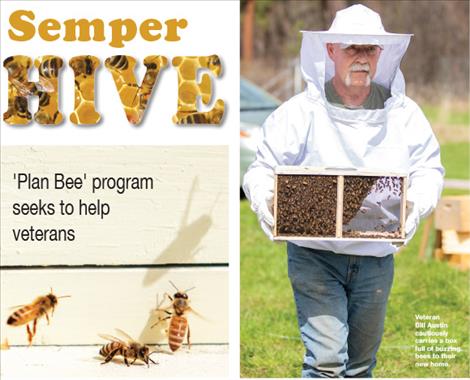 Semper Hive