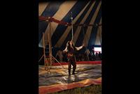 Circus fills fairgrounds to support SAFE Harbor 