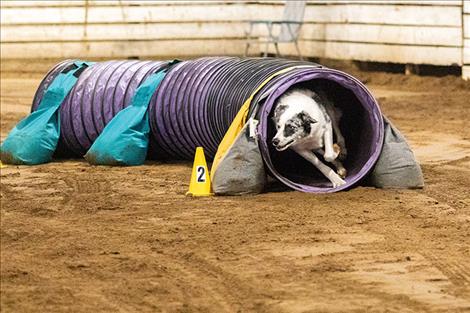 Lego clears a tube.