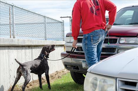 a dog finds the scent of cocaine and his handler takes out a toy as a reward.