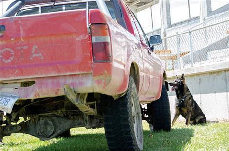 K-9 officers find drugs in vehicles.