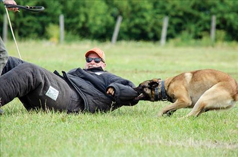 Master trainer Kevin Klostermeier wears a padded suit while being attacked by a K-9 officer during a certification course