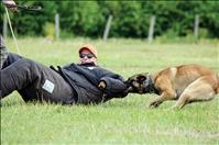 K-9 officers find drugs at the fairgrounds during training