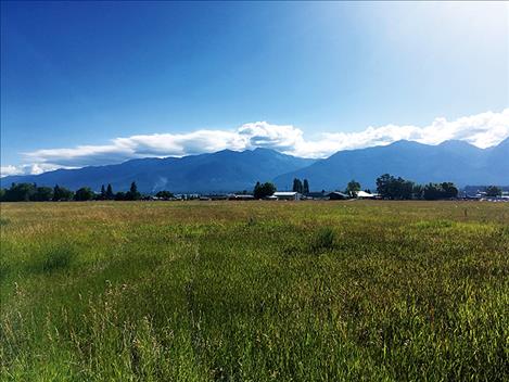 An open field located in Ronan where the construction could begin.