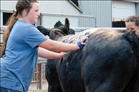 Lake County Fair wraps up with hairspray, ribbons