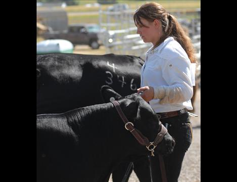 Kelsey Blevins holds a black Angus cow and calf as she waits for her class to be called.