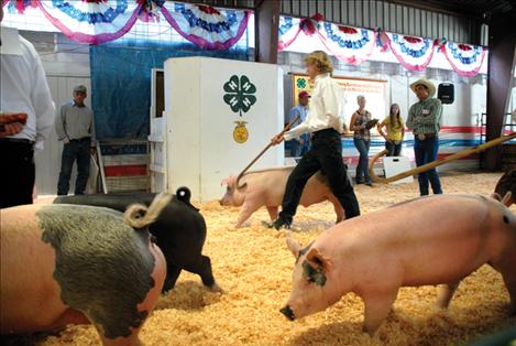 Judge Jay Bodner watches contestants in swine showmanship as they try to make their pigs look as good as possible. Bodner has his eye on Cade Howlett. 