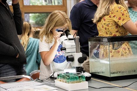 Samples of lake life are shown under a microscope. 