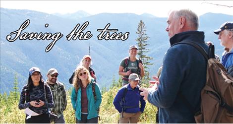 Conference participants look at whitebark pine trees near Three Lakes Peak.