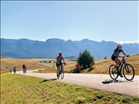 Pedal to Plate bike ride shines light on locally produced food