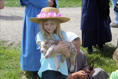 A young girl cuddles a red heeler puppy at Horse Progress Days in St. Ignatius.