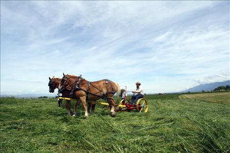 Pioneer Equipment Inc. employees demonstrate how to mow grass and hay using only horse power during Horse Progress Days in St. Ignatius.