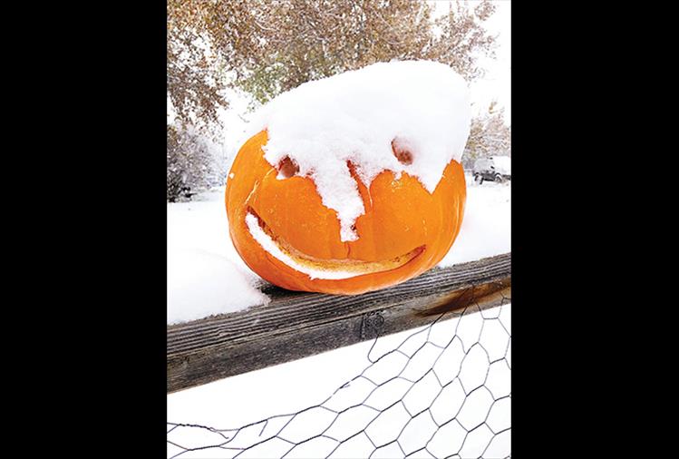 That's snow business!  Monday's fall storm frosted the valley with a layer of snow atop autumn leaves and jack-o-lanterns in Ronan.