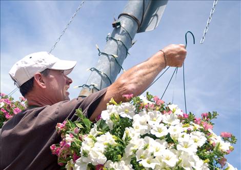 Tom Goss jumped to the rescue and volunteered to hang heavy flowerbaskets downtown.