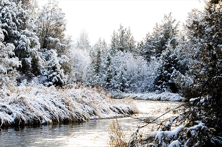 Spring Creek in Ronan