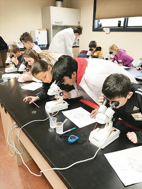 courtesy photo There was a full laboratory at Salish Kootenai College as elementary  students studied the effects of ethanol and caffeine on the heart rate of  Daphnia. SKC STEM Academy high school students Xavier Pierre, Kiana King, and Keith Erickson carefully supervised Linderman Elementary students as they conducted the experiment. 