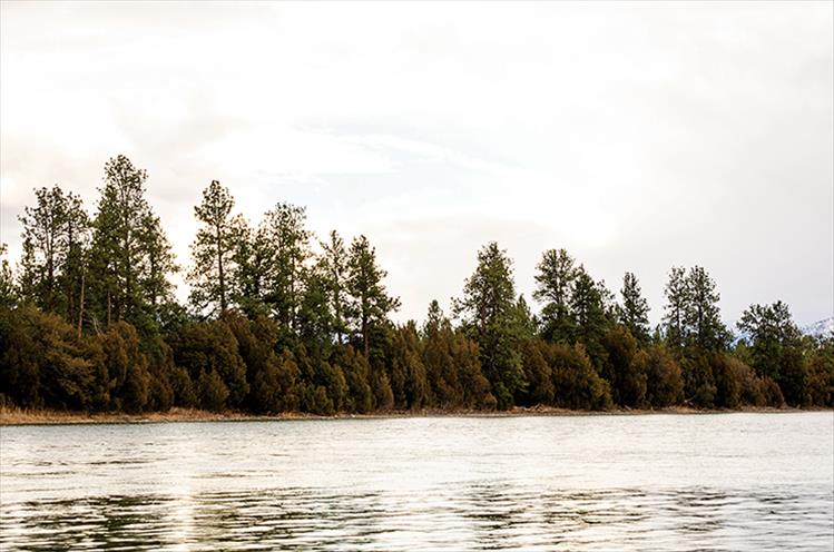 Flathead River