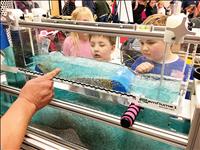 Scientific curiosity encouraged during family night