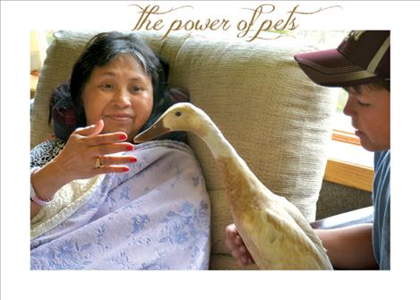 Cristy Gibbs meets with Sam, a female Indian Runner duck raised by 4H Ambassador Philip Vaughan, Thursday at St. Luke Extended Care Facility in Ronan.