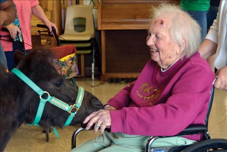 A pony sniffs the hand of 100-year-old Jane Dibble.