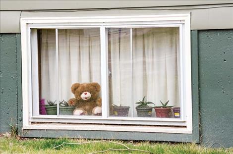 Bears can be seen in windows around town. 