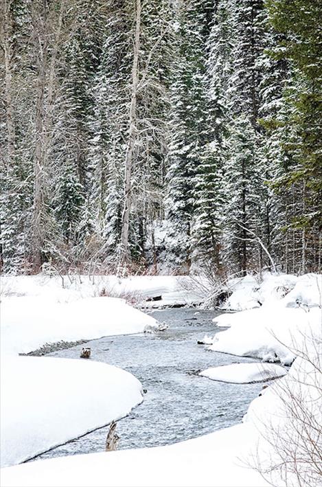 Non-resident recreation temporarily suspended on Flathead Reservation    