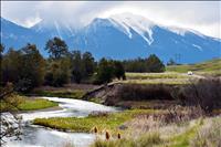 Bison Range temporarily closes