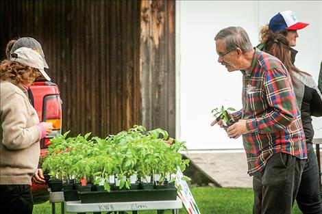 People enjoy last year’s farmers market in Ronan.