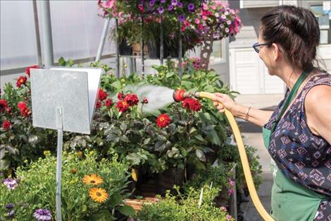 Bev Luedtke,  of Bev’s  Bloomers, gives the flowers a drink. 