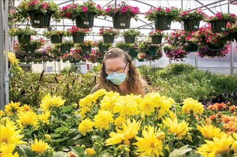 A shopper looks for spring blooms. 