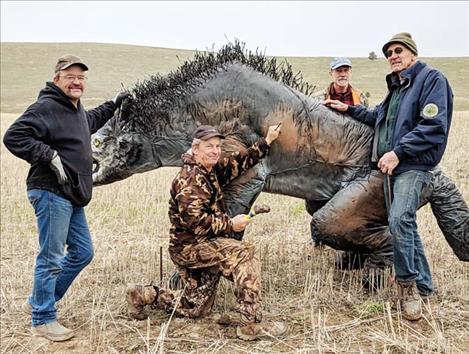 Tony Billington, Paul Martin, Nathan White and Jim Nesladek (creator of the Dire Wolf) set up the Dire Wolf for the Mission Valley Archers 3D Shoot.