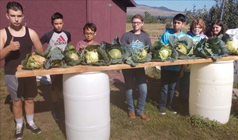 Garden program earns school sustainability award