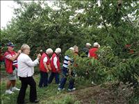 Senior group explores Flathead orchards