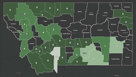 The graphic shows active cases of COVID-19 by county in Montana as of 10:52 a.m. Monday, June 15. Lake County has 4 active cases while Flathead County to the north has 2 and Missoula County to the south has 1. Lake County has had a total of 9 cases with 5 recovered. 