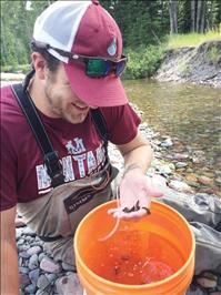 UM Bio Station researchers unlock mystery of subterranean stoneflies